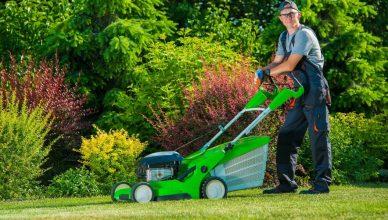 A Comprehensive Guide to Lawn Maintenance