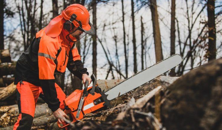 Chainsaw Safety