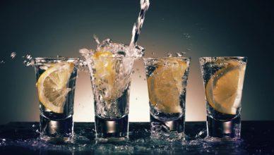 How to Pair Gin and Vodka with Food